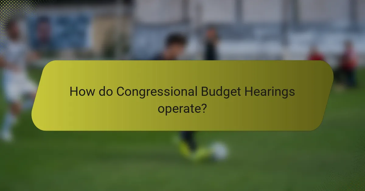 How do Congressional Budget Hearings operate?