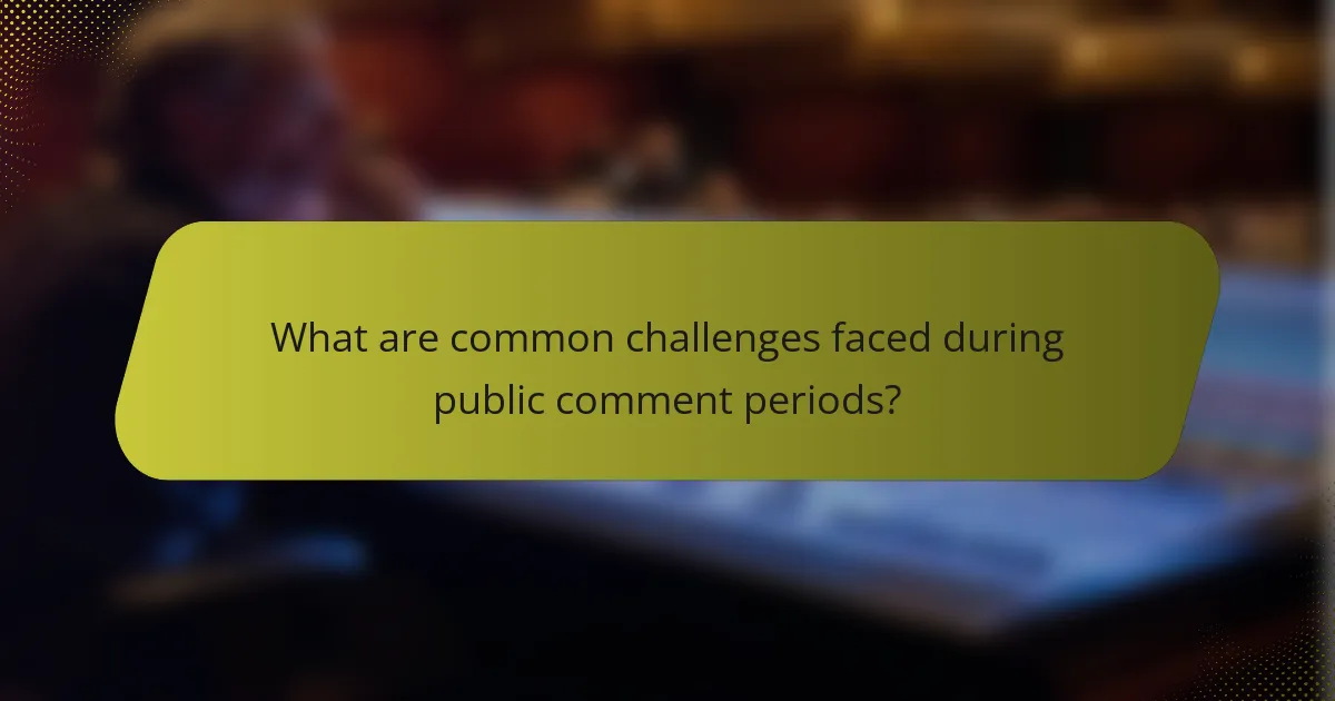 What are common challenges faced during public comment periods?