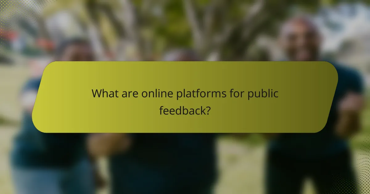 What are online platforms for public feedback?