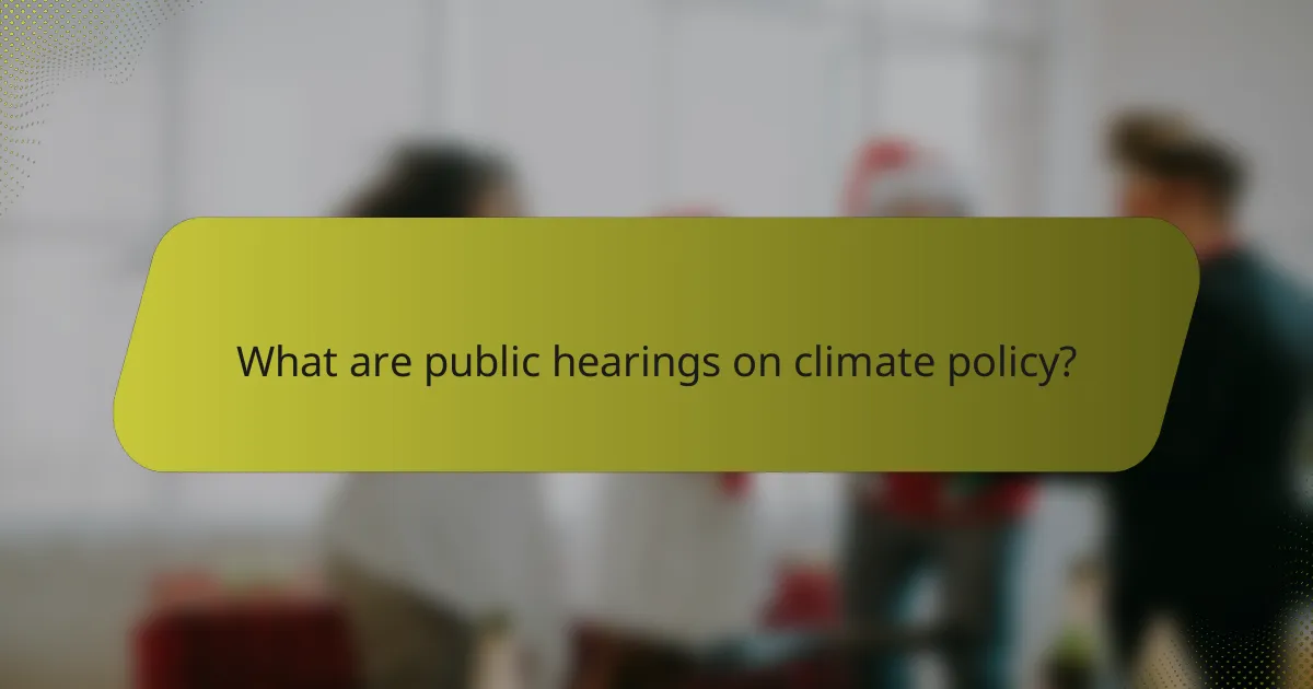 What are public hearings on climate policy?