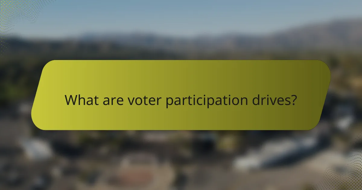 What are voter participation drives?