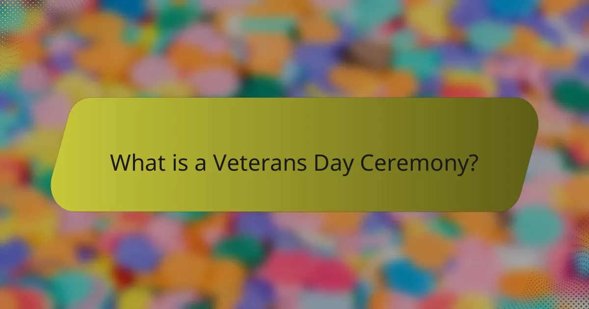What is a Veterans Day Ceremony?