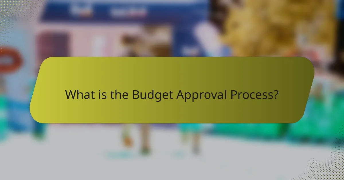 What is the Budget Approval Process?